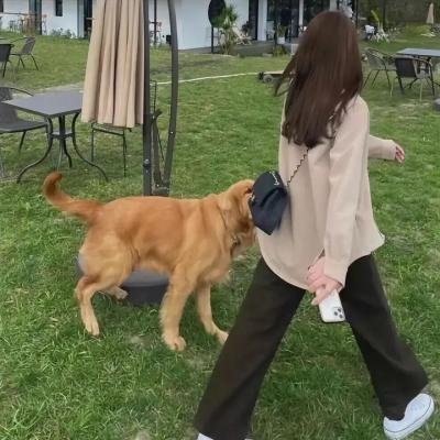 比基尼少女